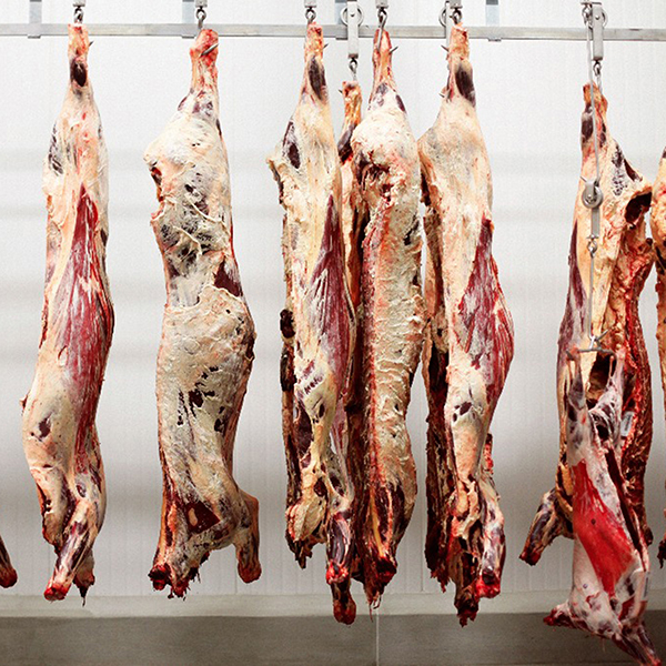 Goats meat