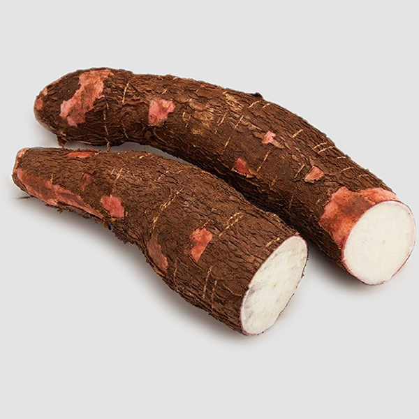 cassava