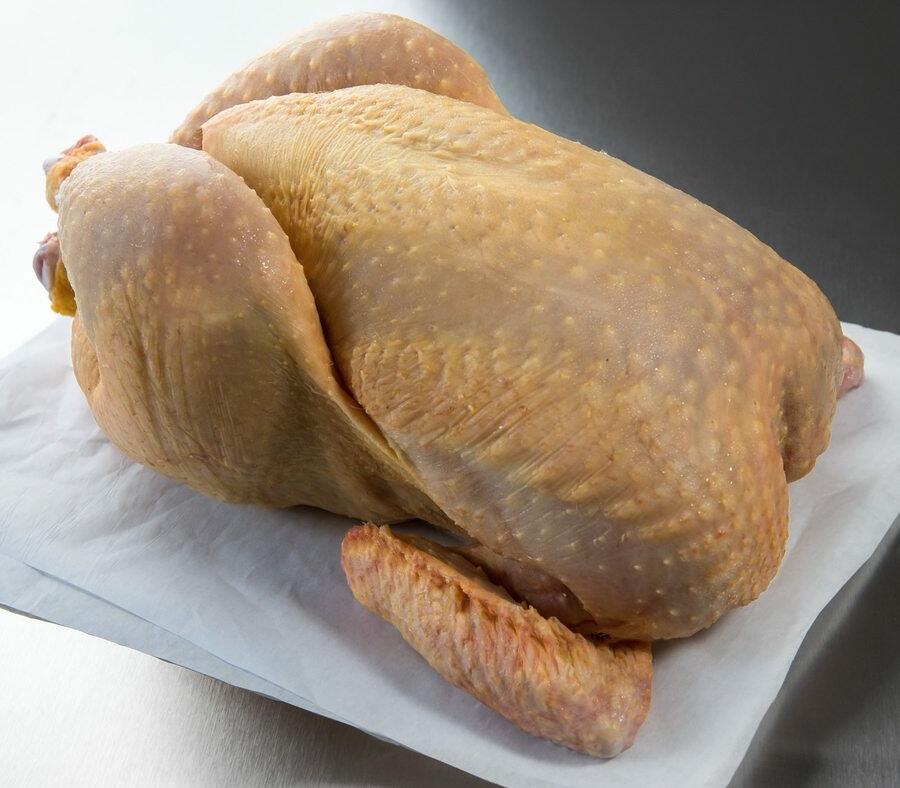 Chicken