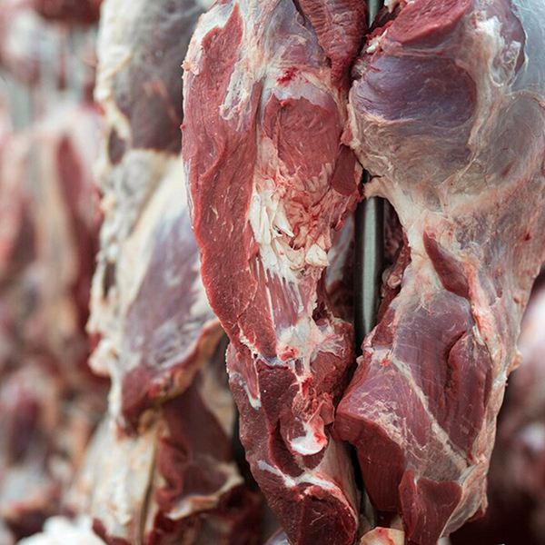 Beef