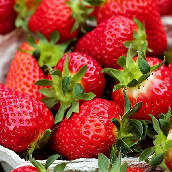 strawberry