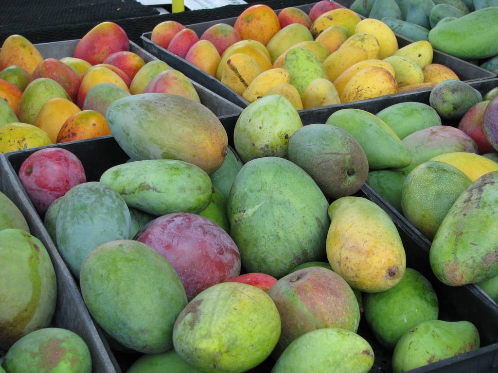 local mangoes